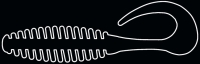 TWISTER TURBO 5"  TRT5-TS016