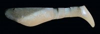 KOPYTO 2"  RKBLS2-S020