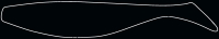 SHAD 9"  SM9-S041