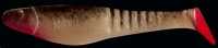 SHARK 4"  RSH4-S008