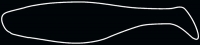 SHAD 4"  SM4-S042