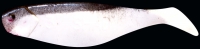 SHAD 3"  SM3-S002