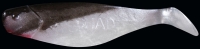 SHAD 3"  SM3-S008