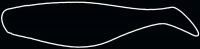 SHAD 3"  SM3-S046