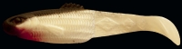 DIAMOND SHAD 2,5"  RDS25-S008