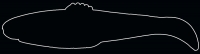 DIAMOND SHAD 2,5"  RDS25-S016