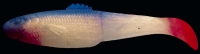 DIAMOND SHAD 2,5"  RDS25-S017