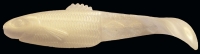DIAMOND SHAD 2,5"  RDS25-S025