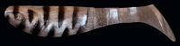 KOPYTO 3"  RKBLS3-TG027