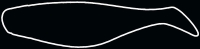 SHAD 3"  SM3-L011