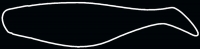 SHAD 3"  SM3-T014