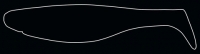 KOPYTO 4"  RKBLS4-T032